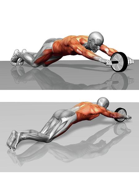 ab wheel workout 1 - AB Exercise Wheel (man) Body Sculpture