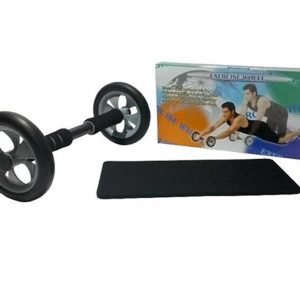 Body Gym Exercise Wheel