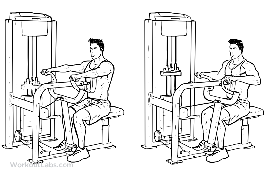 Seated Machine Back Row - Body Strong Seated Row