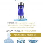 2 150x150 - Hydrogen Bottle Generator Hydro Beauty