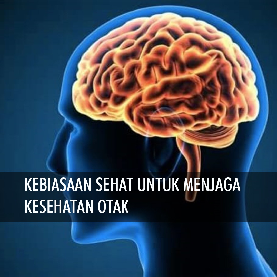 KEBIASAAN SEHAT UNTUK MENJAGA KESEHATAN OTAK - TokoAlatFitness.com