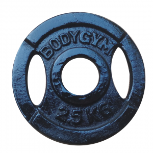 Iron Plate 5cm 2.5 kg Body Gym