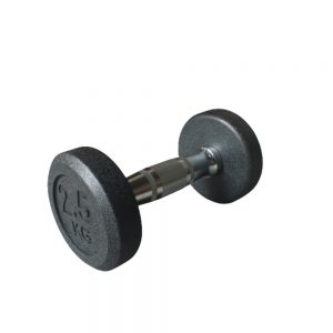 Body Gym Dumbell Fix Rubber 2.5 Kg