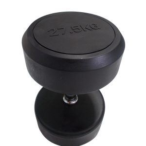 Body Gym Dumbell Fix Rubber 27.5 Kg