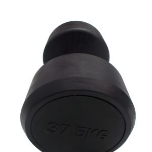 Body Gym Dumbell Fix Rubber 37.5 Kg