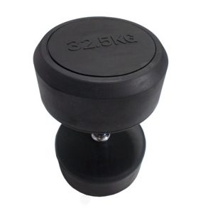 Body Gym Dumbell Fix Rubber 32.5 Kg