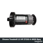 Dinamo Treadmill 1.5 HP ZY102-4 4600 Rpm