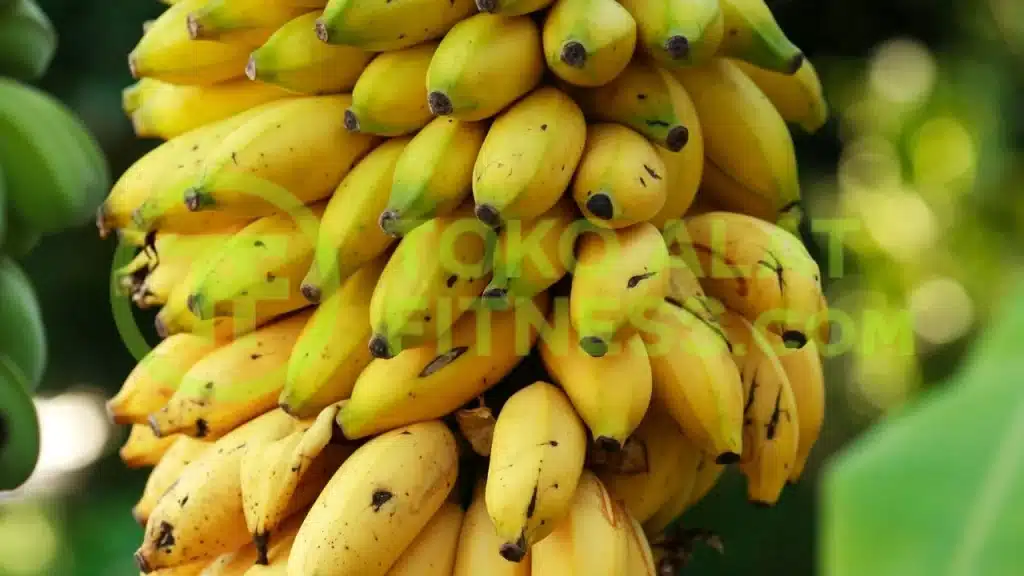 Pisang – Sumber Karbo Simpel yang Cepat Serap