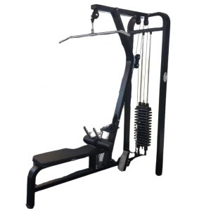Body Gym Pull Down + Rowing ( Lokal )