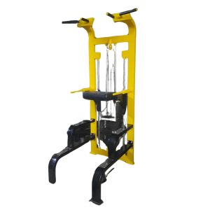 Body Gym Pull Up Machine ( Lokal )