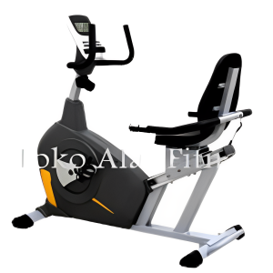 Body Gym Magnetic Recumbent Bike