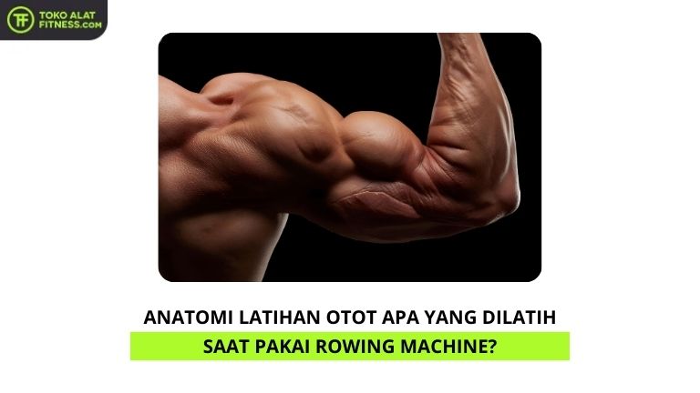 Anatomi Latihan Otot Apa yang Dilatih Saat Pakai Rowing Machine