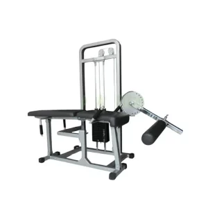 Body Gym Leg Curl Ext ( Lokal )