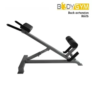Body Gym Extension ( Lokal )