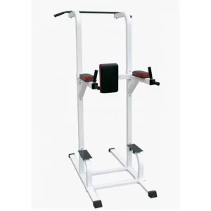 Body Gym Chin Up Plus
