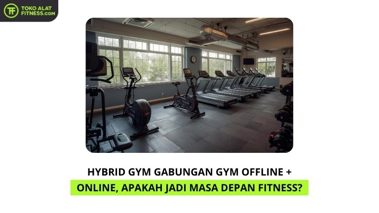 Hybrid Gym