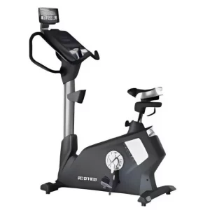 Richter Saphire Commercial Up Right Bike B1